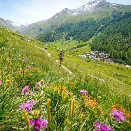 アパート Floor Mansard - Mont Blanc Haven *