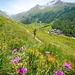 Appartement Floor Mansard - Mont Blanc Haven *